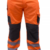 Naranjo